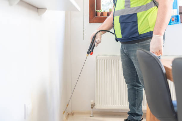 Best Mosquito Control Services  in Rpinteria, CA