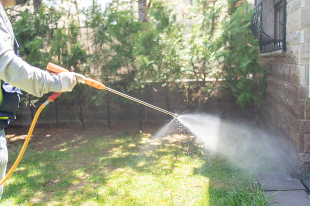 Best Wildlife Control Services  in Rpinteria, CA