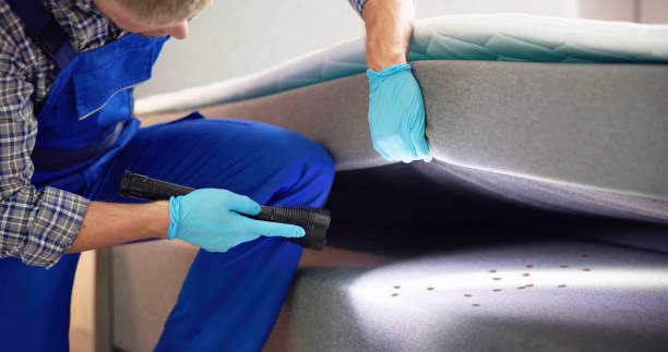 Best Affordable Pest Control Services  in Rpinteria, CA